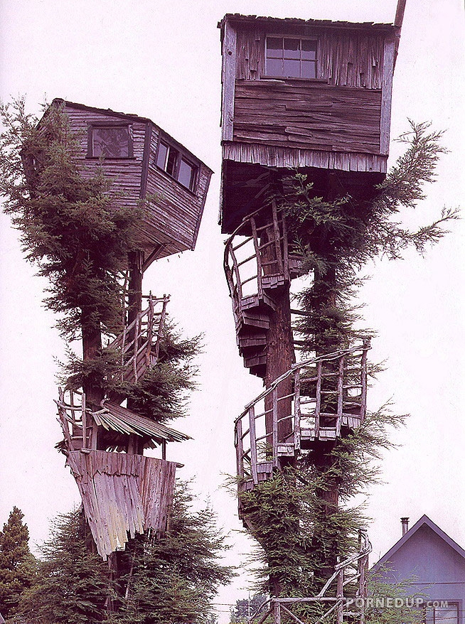 crazy tree houses