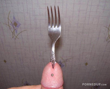 fork in penis