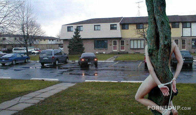 girl naked and tied to tree outside