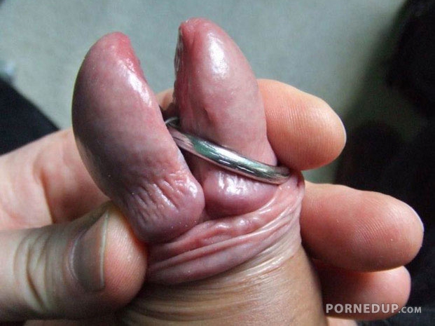 Split Cock Head With Piercing Porned Up