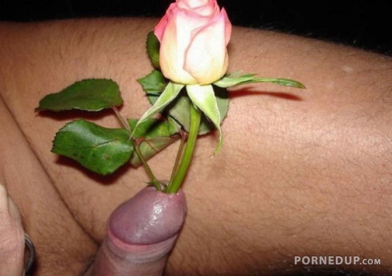 rose in a dick