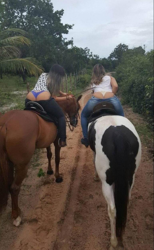 Sexy Asses Horseriding