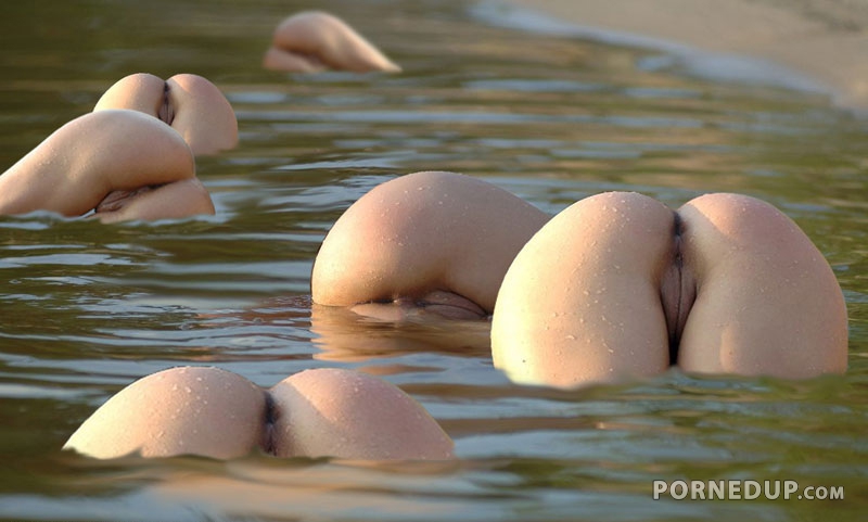 asses surface in the water