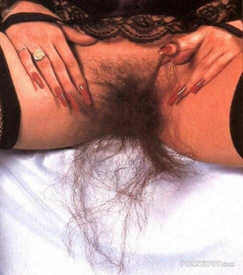 Long Hairy Pussy