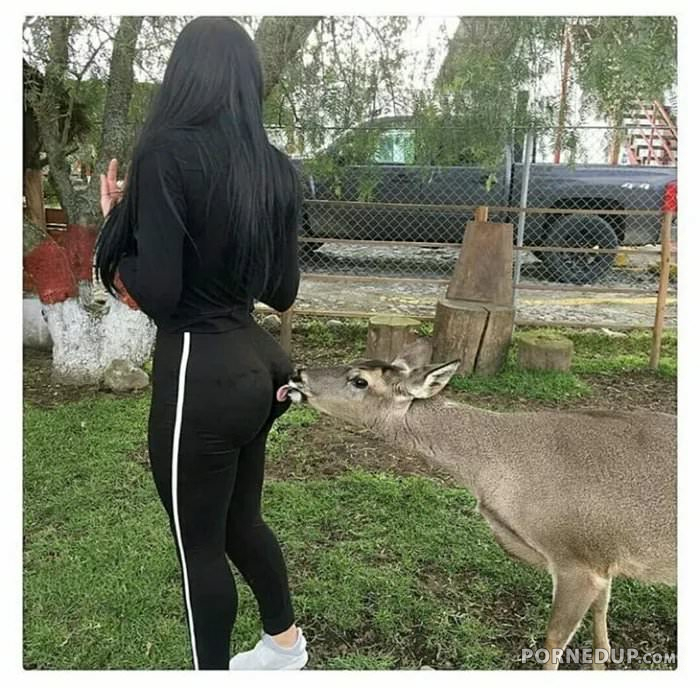 Deer Licking Her Big Ass