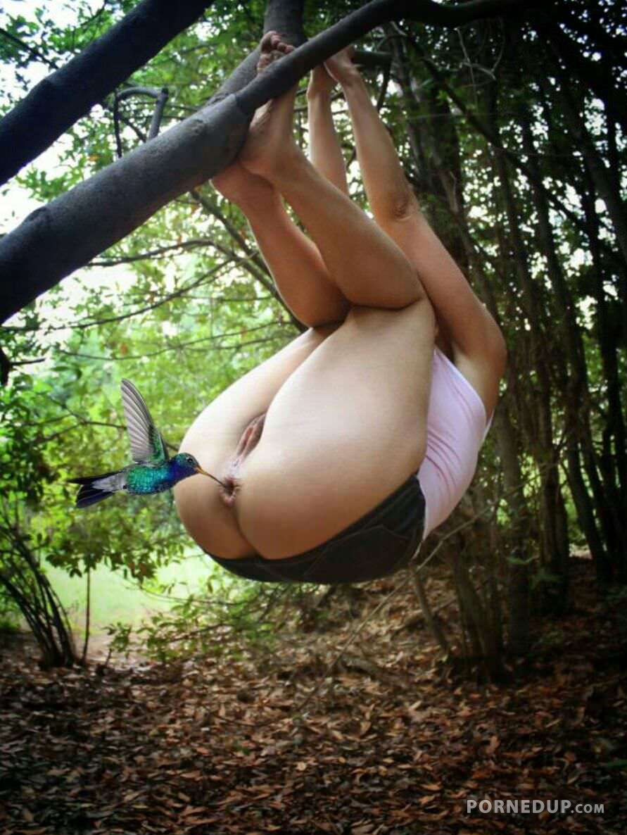 Porn Picture
