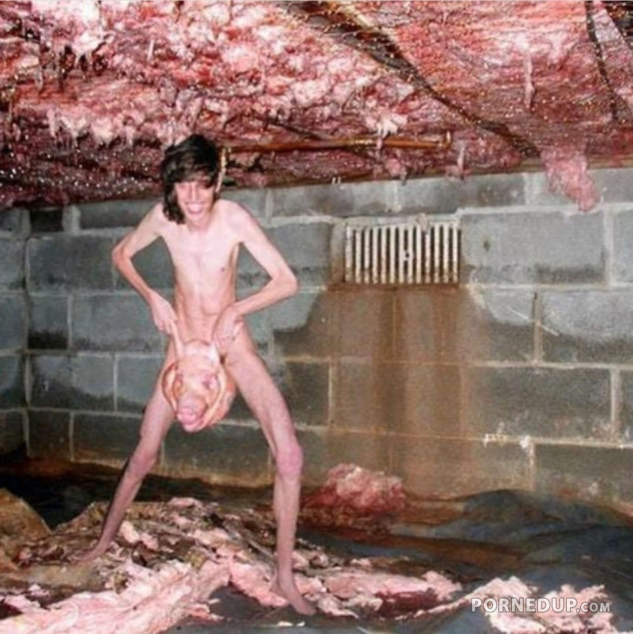 Dude Fucking Dead Pigs At Slaughter House Porned Up dude-fucking-dead-pigs-at-slaughter-house-porned-up