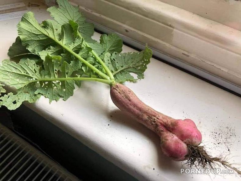 Penis Shaped Vegetable