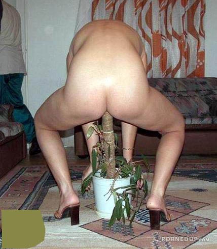 plant fucker