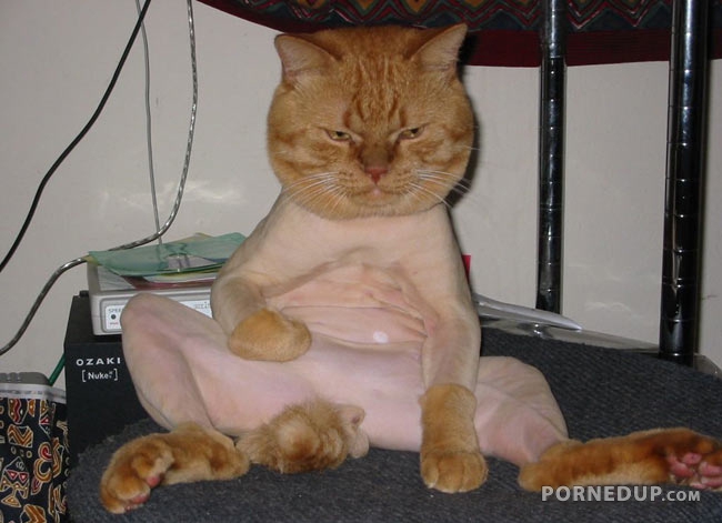 shaved pussy