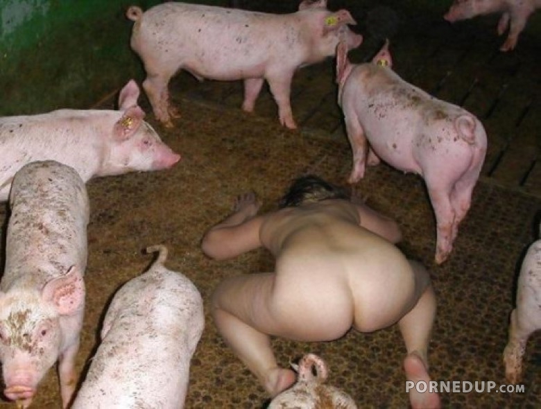 Slut Belongs To The Pigs