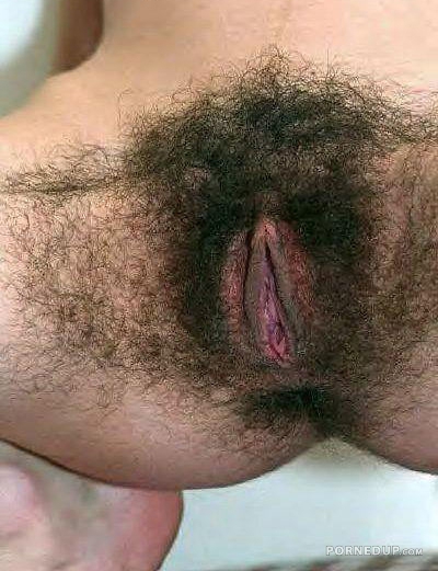 super hairy bush