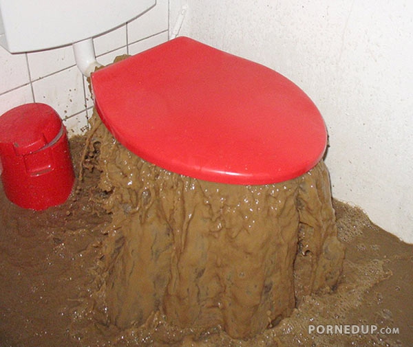 the most disgusting toilet ever