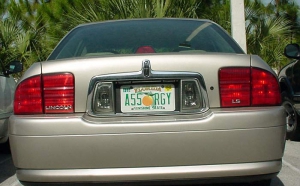 ass orgy license plate