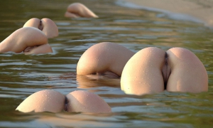 asses surface in the water