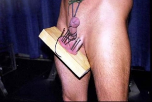 ball sack nailed to wood