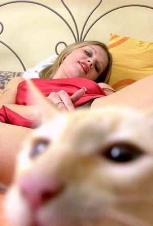cat photobombs masturbating woman