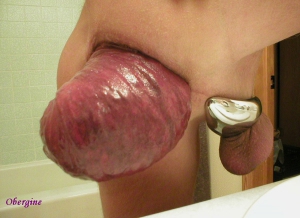 disgusting prolapsed asshole
