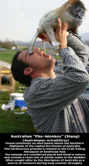 drinking monkey piss water drinking monkey piss water