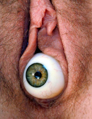 eyeball in her pussy
