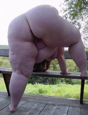 fatzilla fatzilla