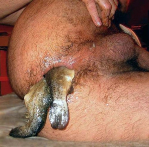 fish butt fish butt
