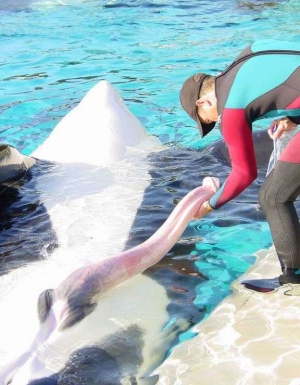 holding a whale boner
