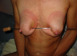 metal skewer through her tits metal skewer through her tits