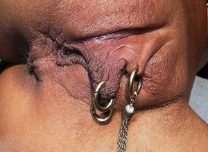 pierced pussy lips