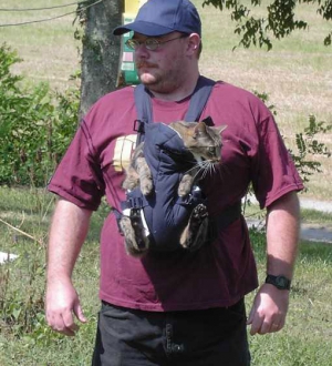 pussy carrier