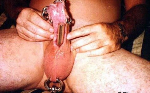 split cock