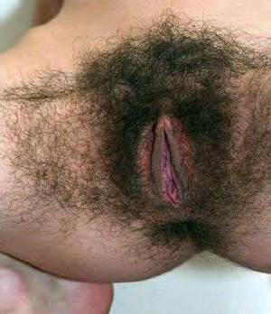 super hairy bush