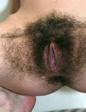 super hairy bush