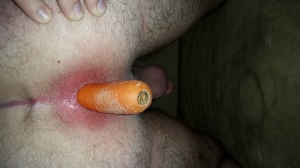 The carrot