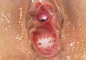 the vagina with a face