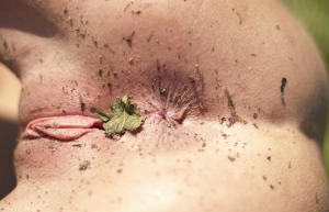 Tight Pussy And Ass With Plants