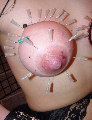 tit with needles in it