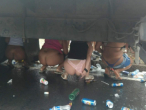 Festival Girls Caught Peeing In Public