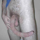 Long dong