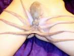 Octopus On Vagina