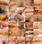 The many faces of pussy