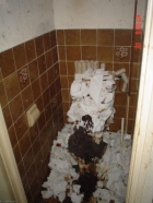 The worst toilet in the world