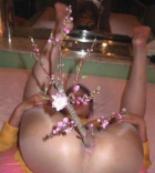 Tree branch in her asshole