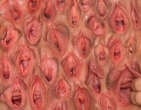 Wall of vaginas
