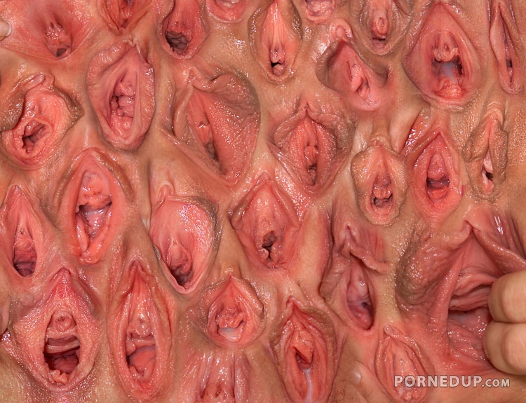 wall of vagina
