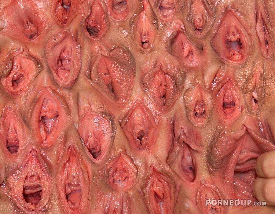 wall of vaginas